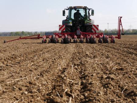 Monopill 6m PH
